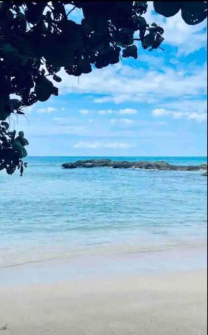 Natty'S Cozy Beach House In Hanover Jamaica ルーシー エクステリア 写真