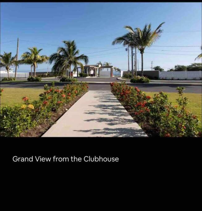 Natty'S Cozy Beach House In Hanover Jamaica ルーシー エクステリア 写真