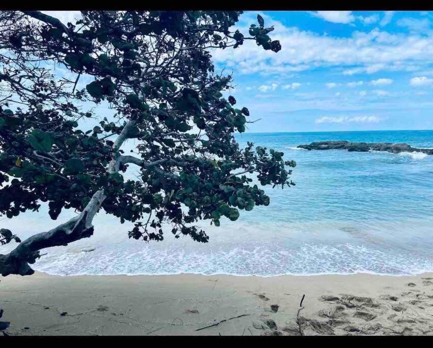 Natty'S Cozy Beach House In Hanover Jamaica ルーシー エクステリア 写真
